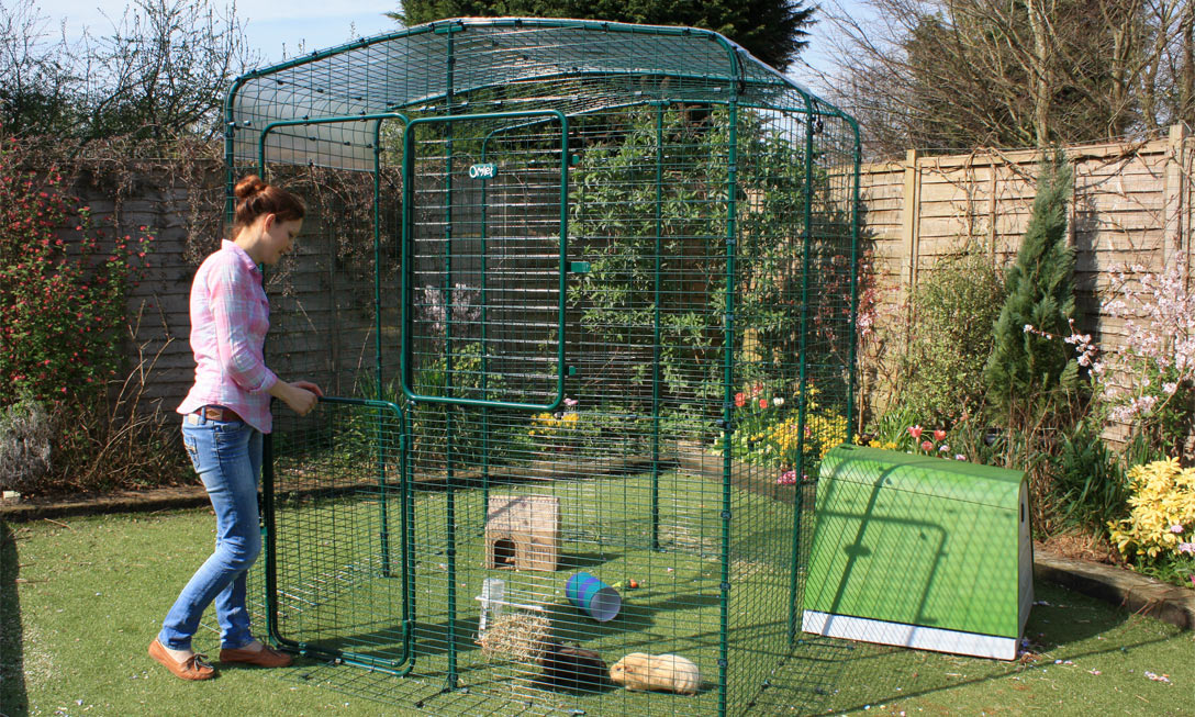 Diy outdoor guinea pig run best sale