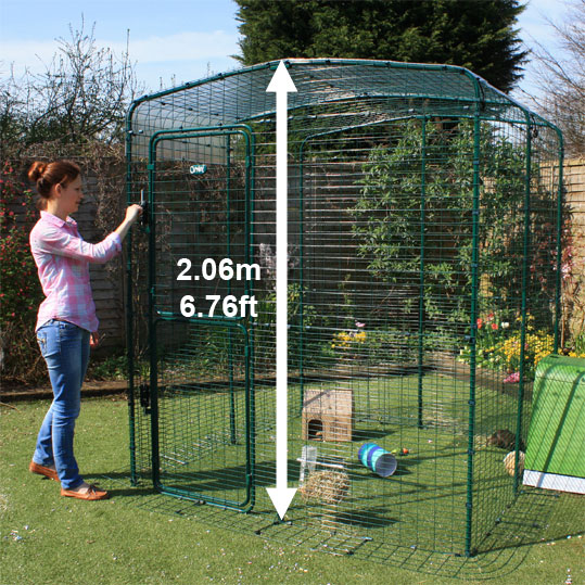 The High-Rise Outdoor Guinea Pig Enclosure allows you to walk in to spend time with your pets.
