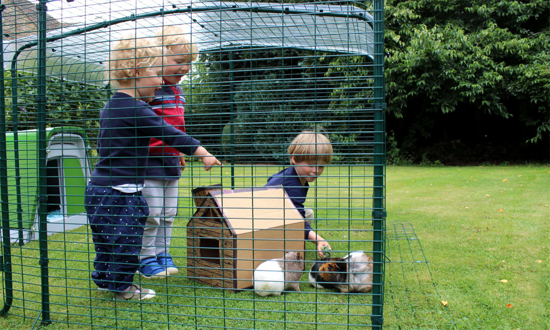 Large Outdoor Guinea Pig Run Omlet