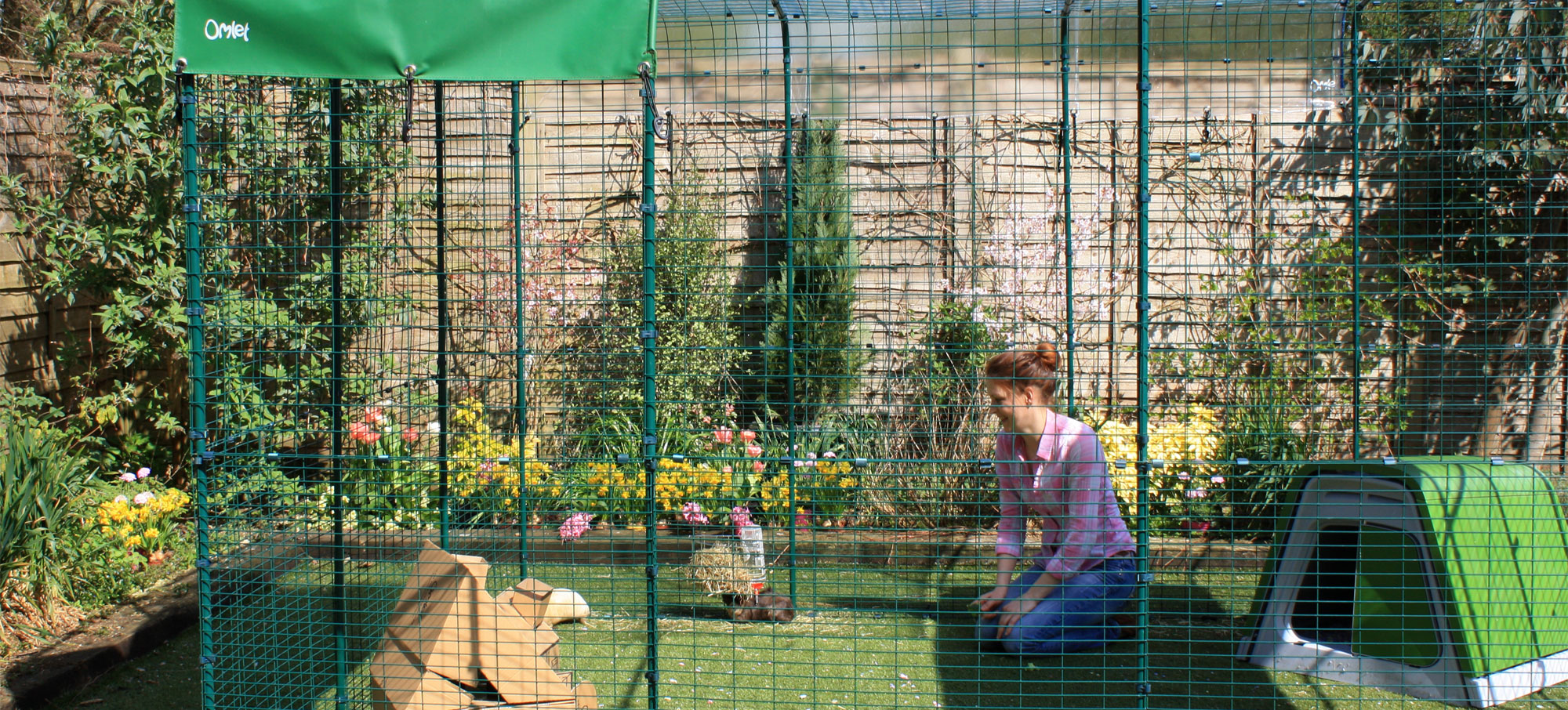 Outdoor guinea shop pig cages