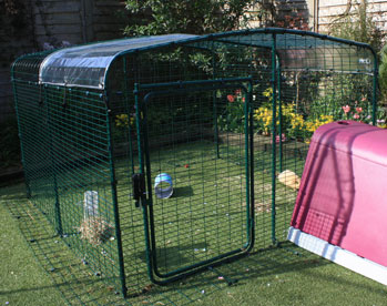 A Clear Cover for your run roof will keep pet guinea pigs dry while letting in sunlight.