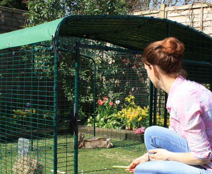 The Low-Rise Outdoor Rabbit Run has a large door, giving easy access to your pet bunnies.