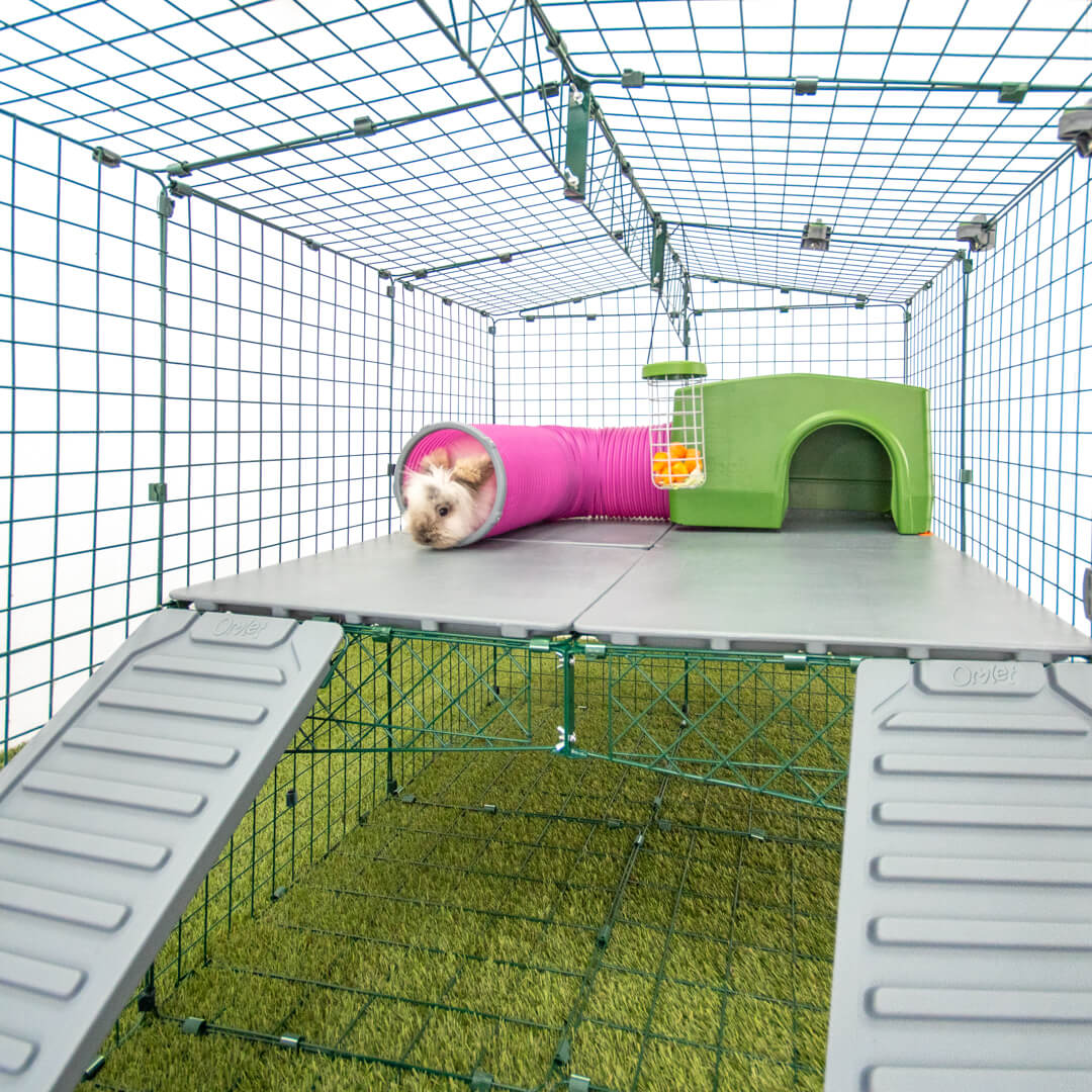 Zippi Rabbit Platforms - 4 panels - 2 ramps | Omlet