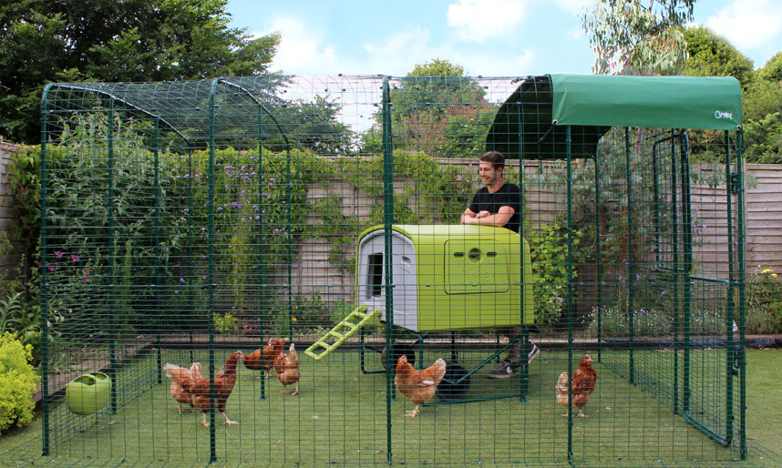 Man standing inside the Omlet Walk in Chicken Run with the Eglu Cube Chicken Coop.