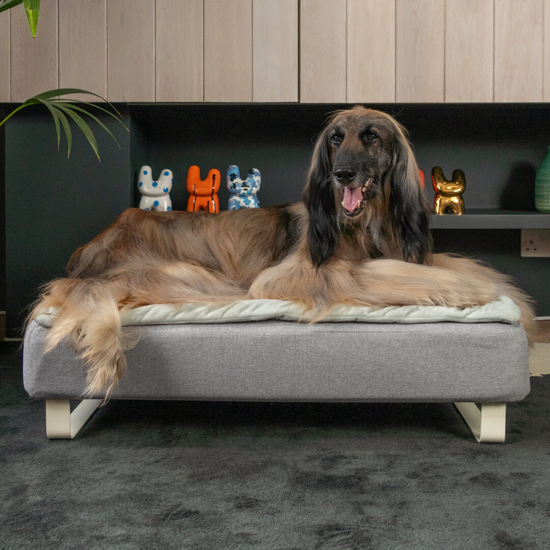 Topology Memory Foam Dog Bed Grey Medium Omlet