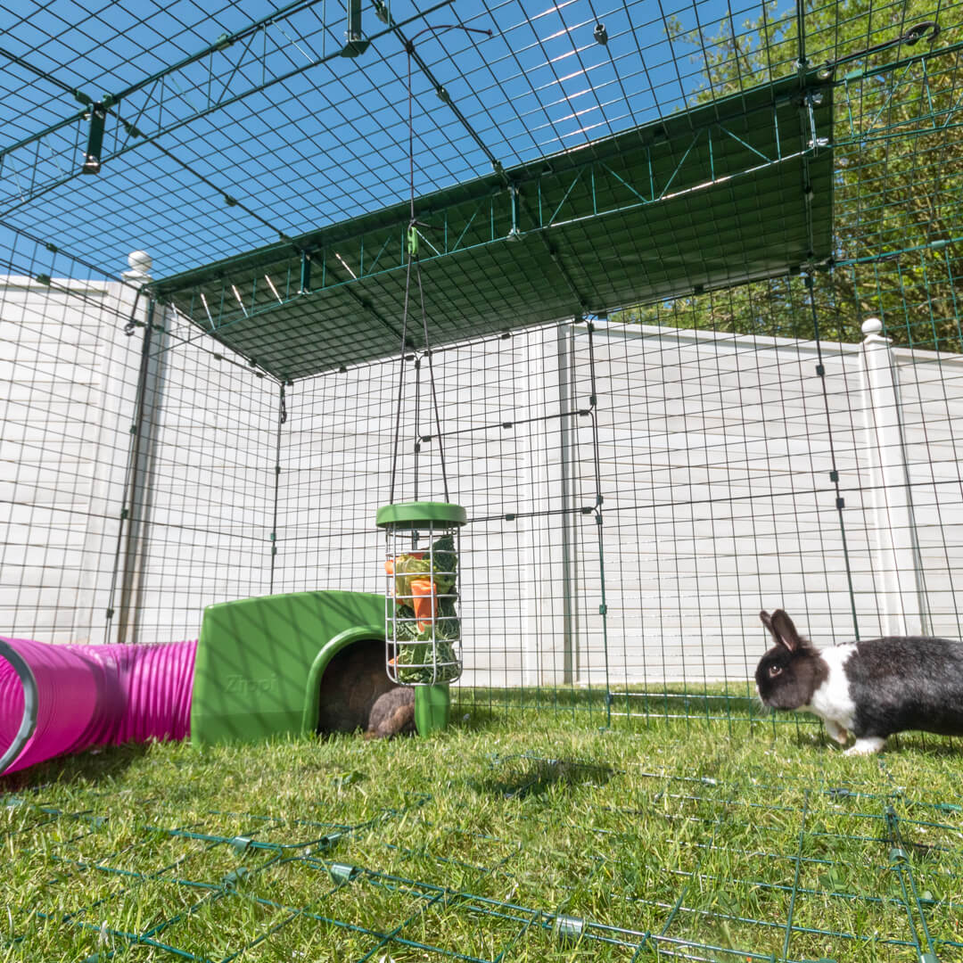rabbit run mesh