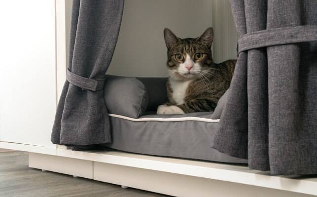 A cat laying on the cat bed inside the Maya Nook cat den