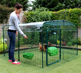Omlet walk in chicken run with clear roof cover.
