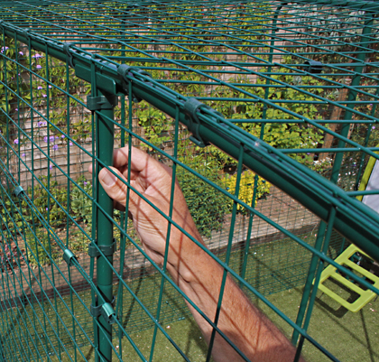 Close up of the steel mesh that makes up the Outdoor Cat Run.