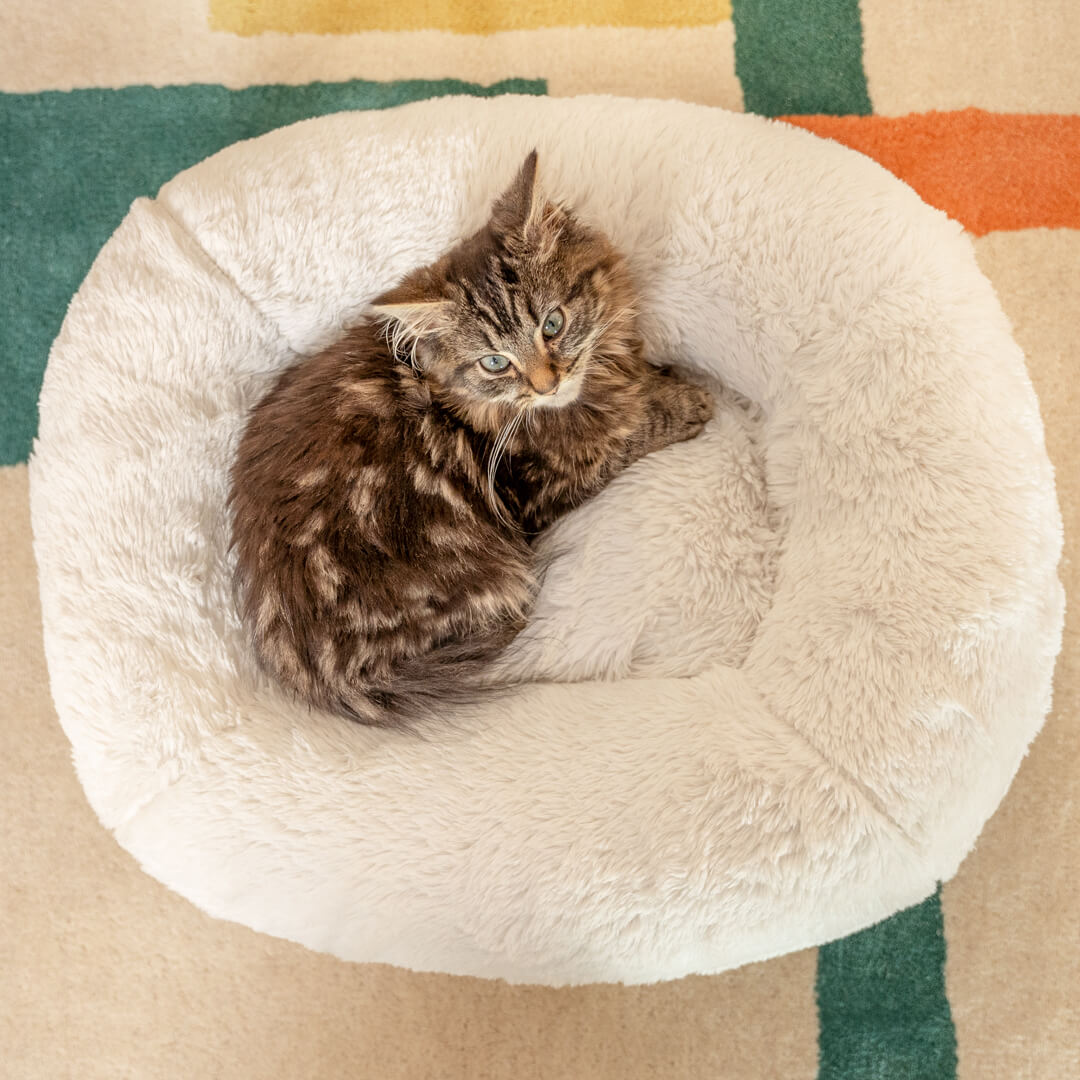 Maya Donut Elevated Cat Bed Snowball White Omlet