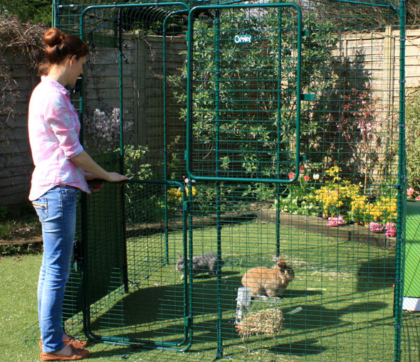 The High-Rise Outdoor Rabbit Run with dimensions