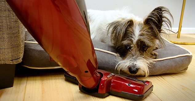 The Fido Nook protects your dog from drafts, bumps and unwanted disturbances