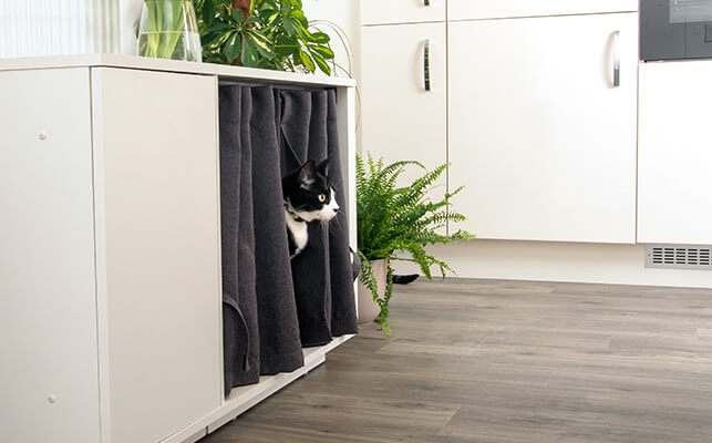 A black and white cat looking out between the curtains of the Maya Nook indoor cat house