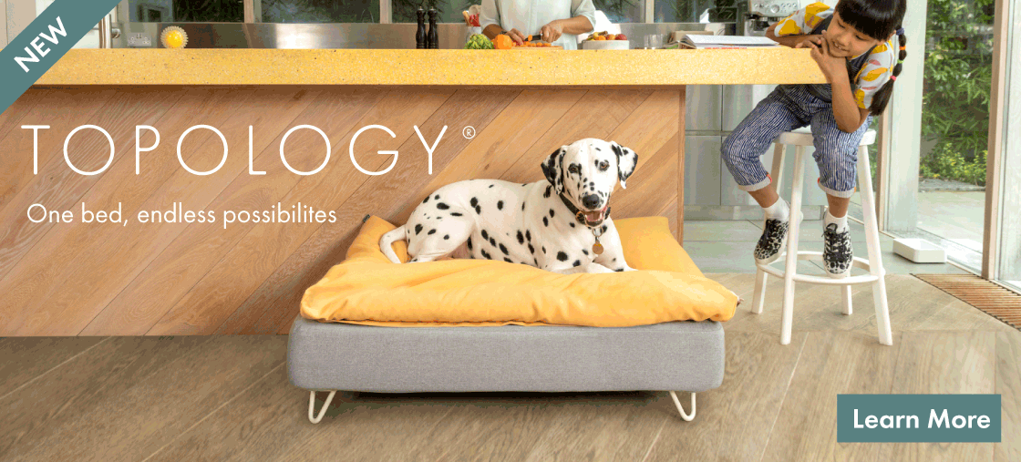 Topology launch