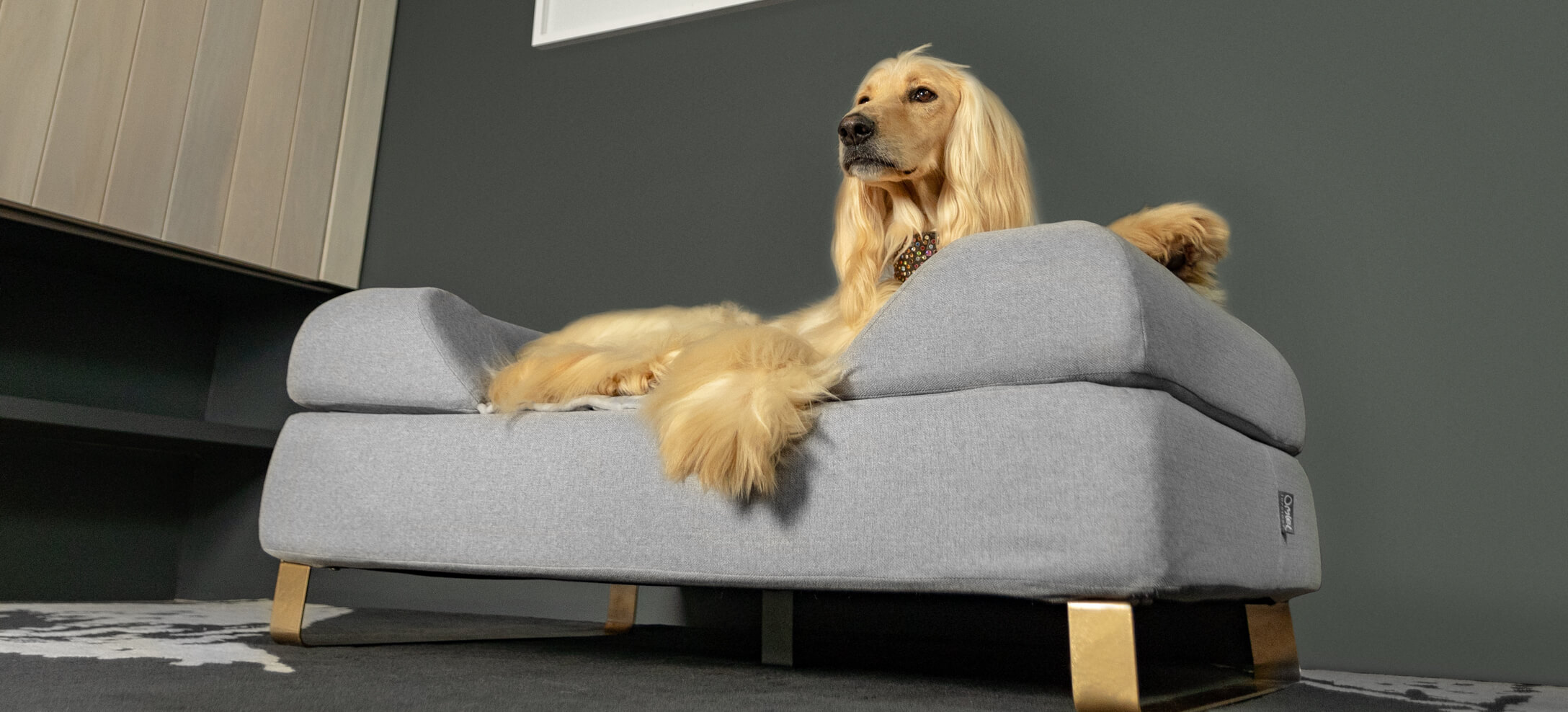 Afghan hound on Omlet's Topology dog bed