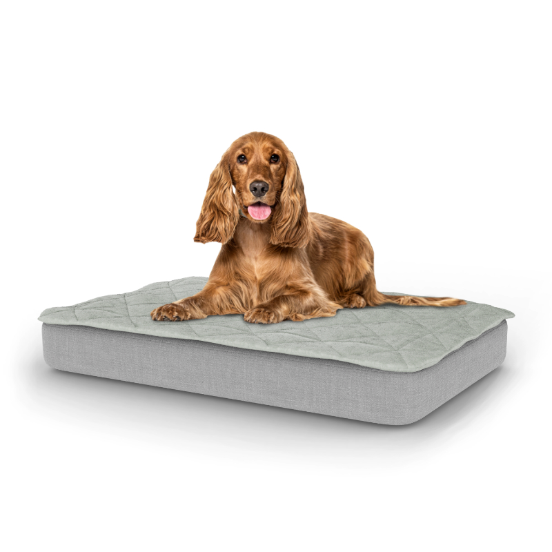 Topology Dog Bed with Quilted Topper Medium Omlet