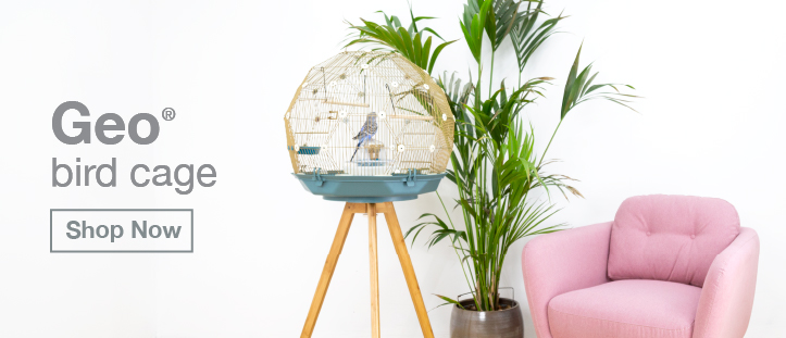 bird cages and accessories