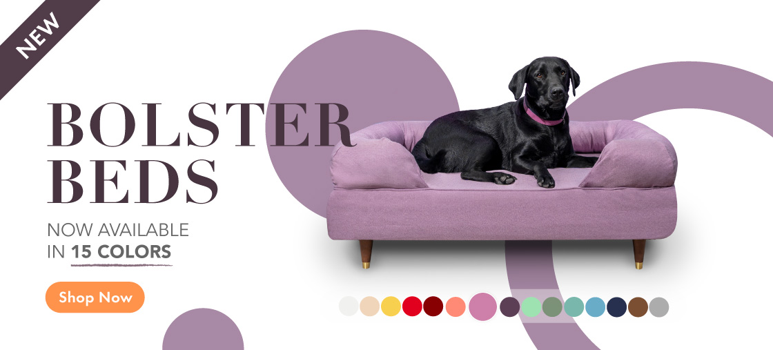 The memory foam bolster dog bed