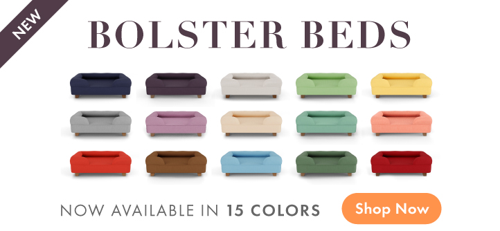 Bolster Bed New Colors Banner