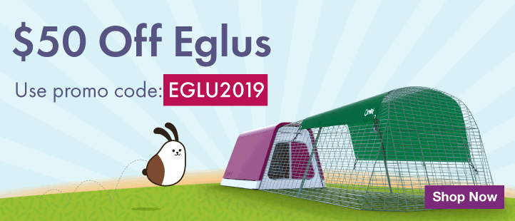 January Eglu Promotion