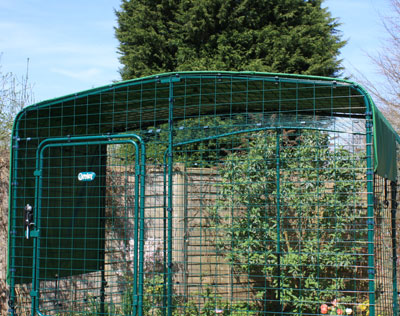 The Outdoor Guinea Pig Enclosure with a heavy duty roof cover