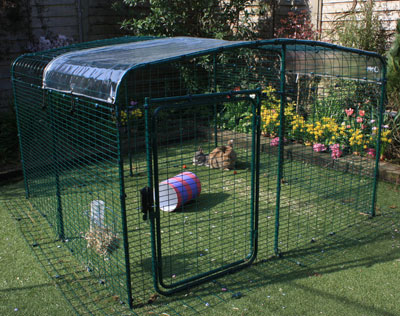 A Clear Cover for your enclosure roof will keep pet bunnies dry while letting in sunlight.