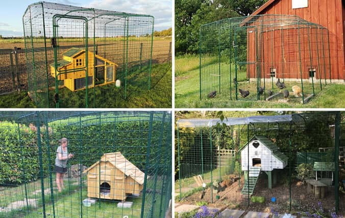 wooden coops attached to an omlet walk in chicken run