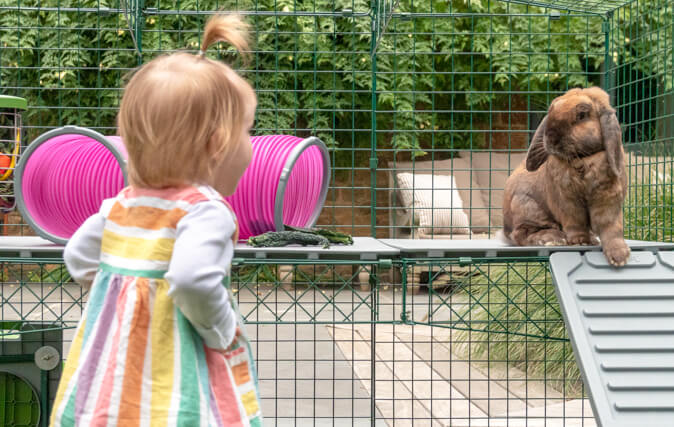 The Zippi Platforms allow you to add a new exciting level to your rabbits’ run, encouraging interactive play and exercise.
