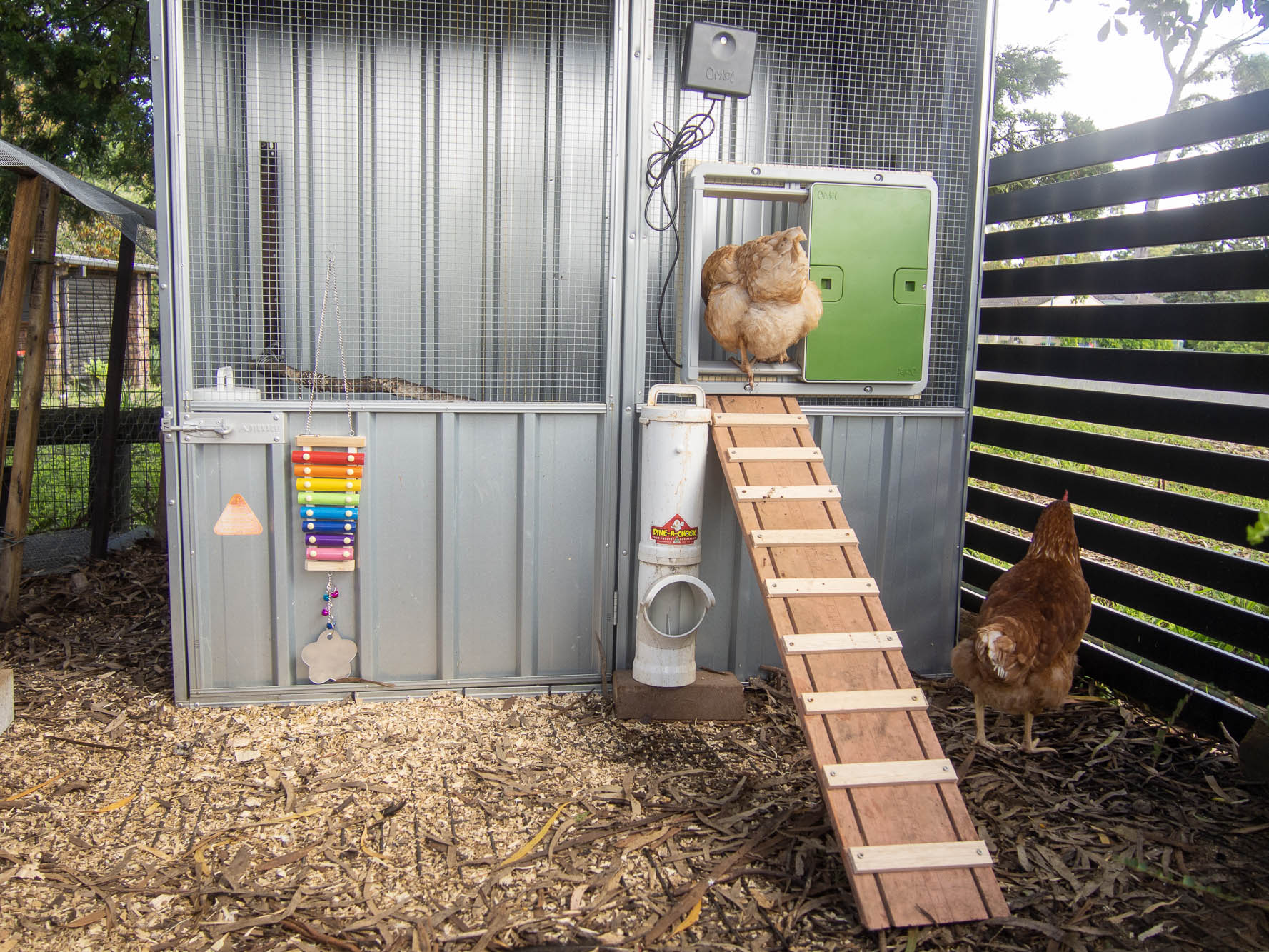 automatic chicken coop door opener for sale automatic chicken coop door opener for sale
