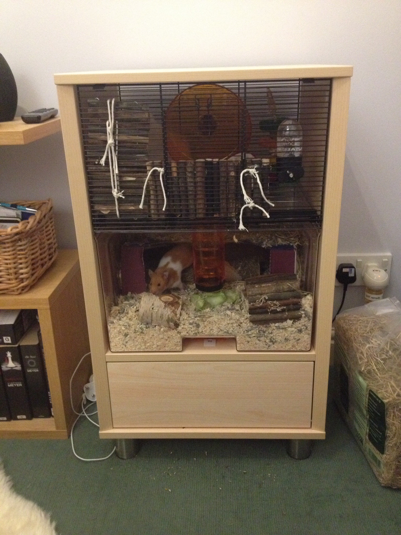Qute Hamster and Gerbil Cage Hamsters and Gerbils Omlet