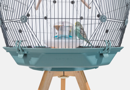 The Geo Bird Cage on a wooden stand with a teal colored base