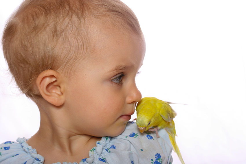 parakeets and children