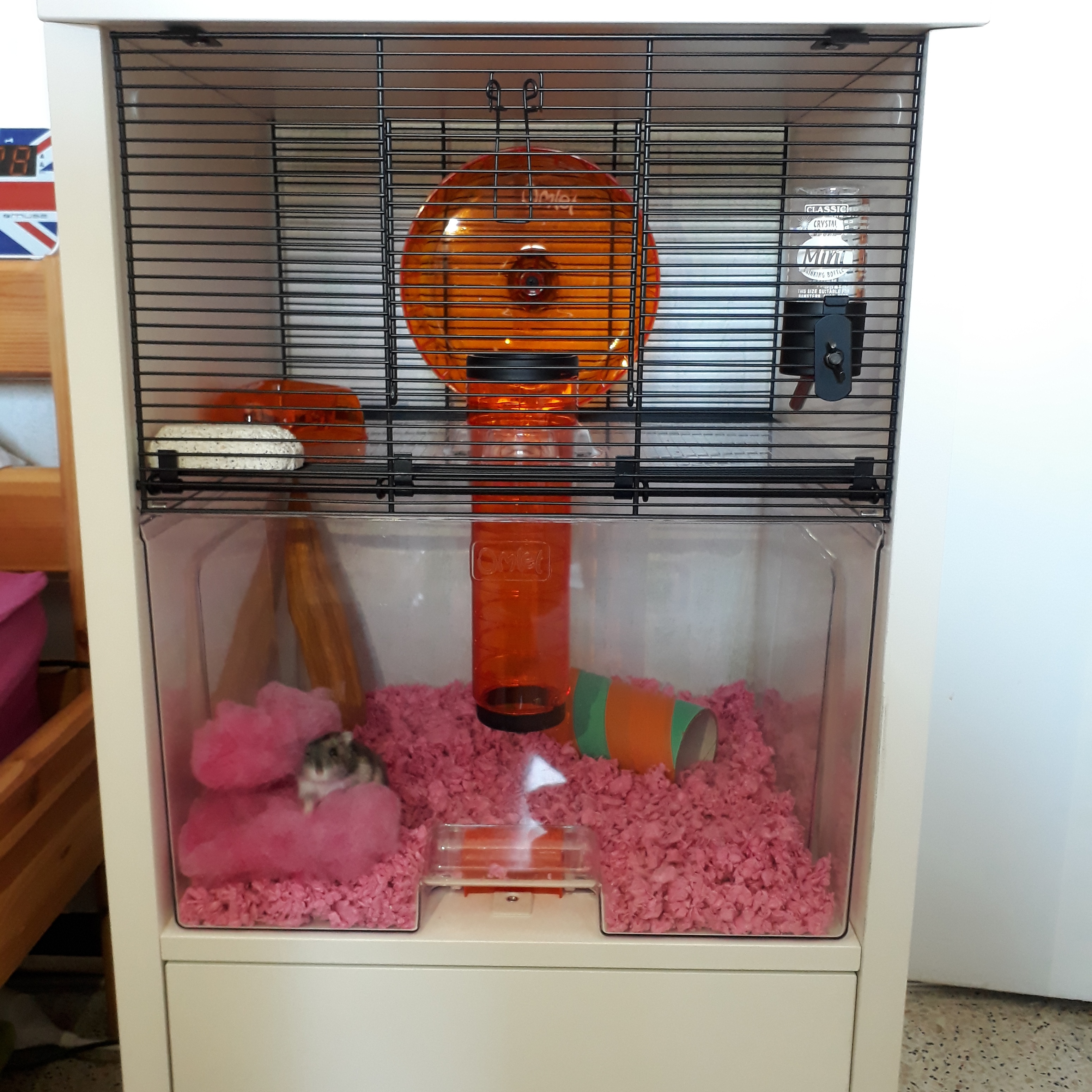 Qute Hamster & Gerbil Cage Stylish Hamster House