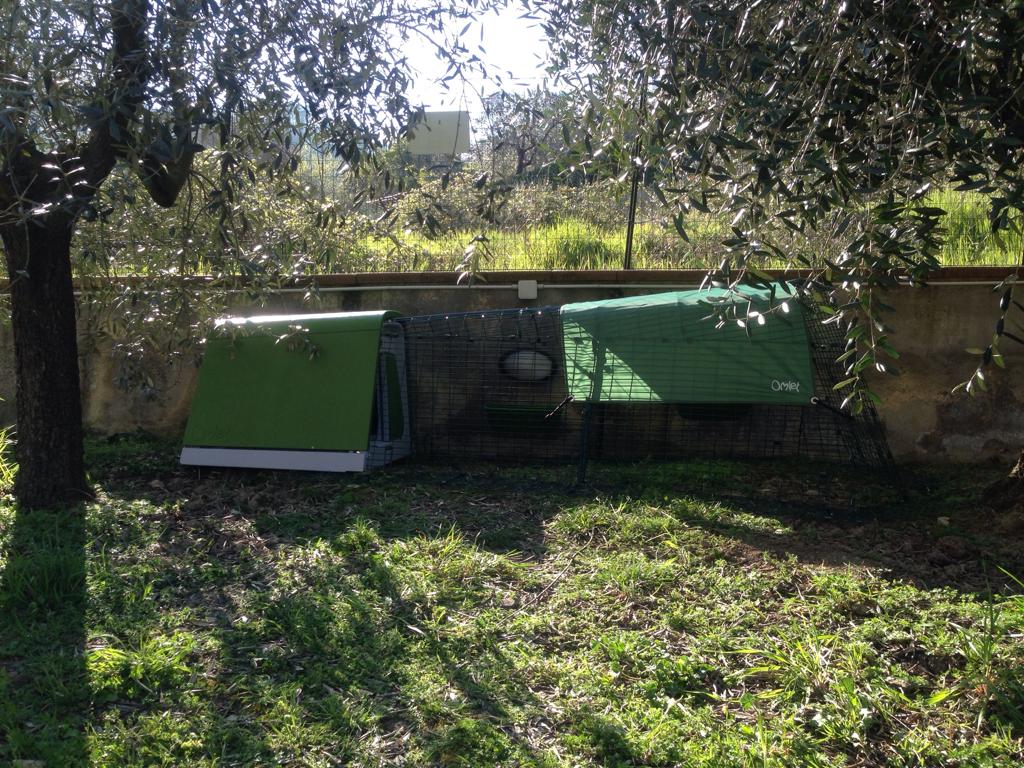 Reviews For Modern Chicken Coop Eglu Go Chicken Keeping Omlet