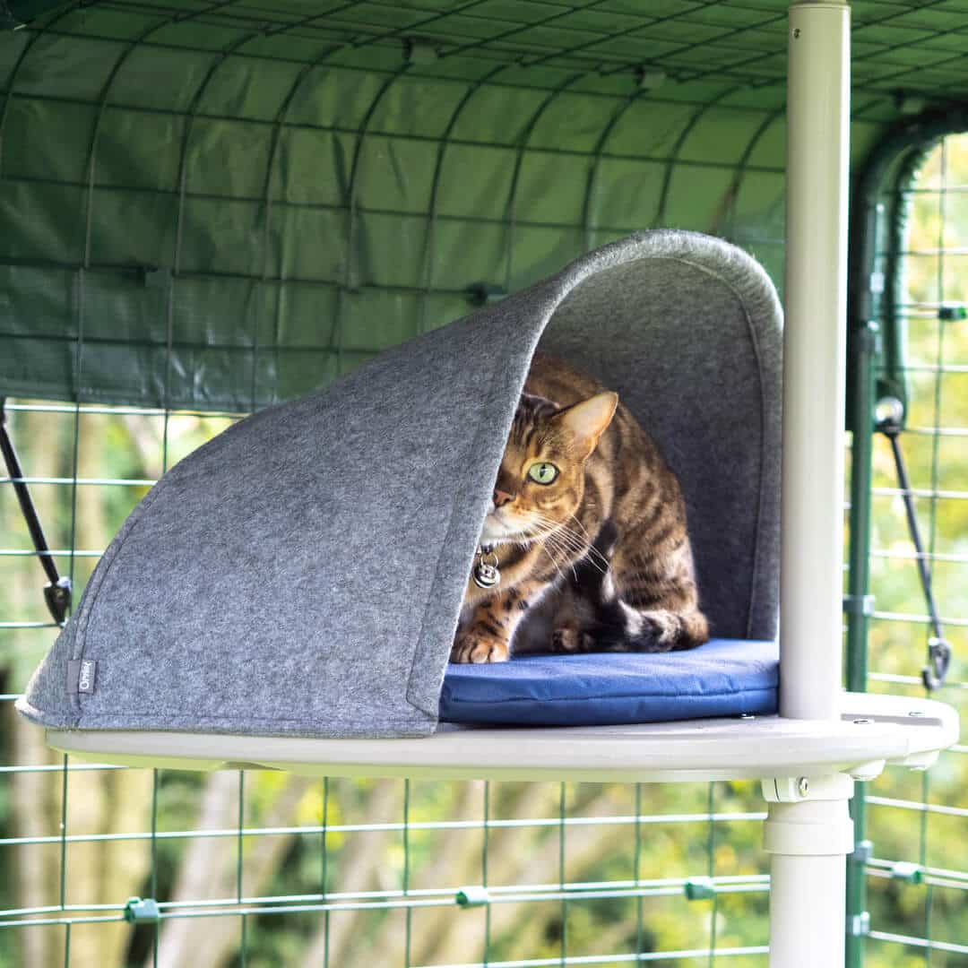 Customizable Outdoor Cat Climber Tree Omlet