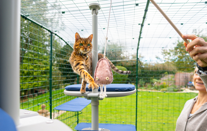 Woman playing with her cat inside the omlet outdoor cat run