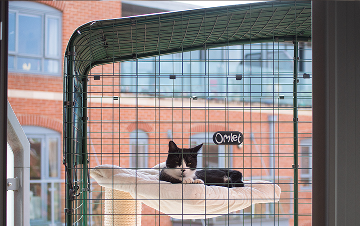 cat fencing for balcony
