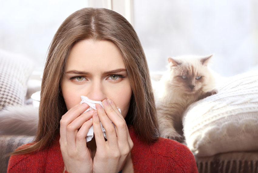Many people have a violent allergic reaction to cats