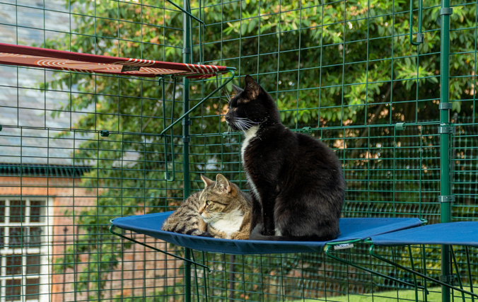 Catios & Outdoor Cat Enclosures | Omlet