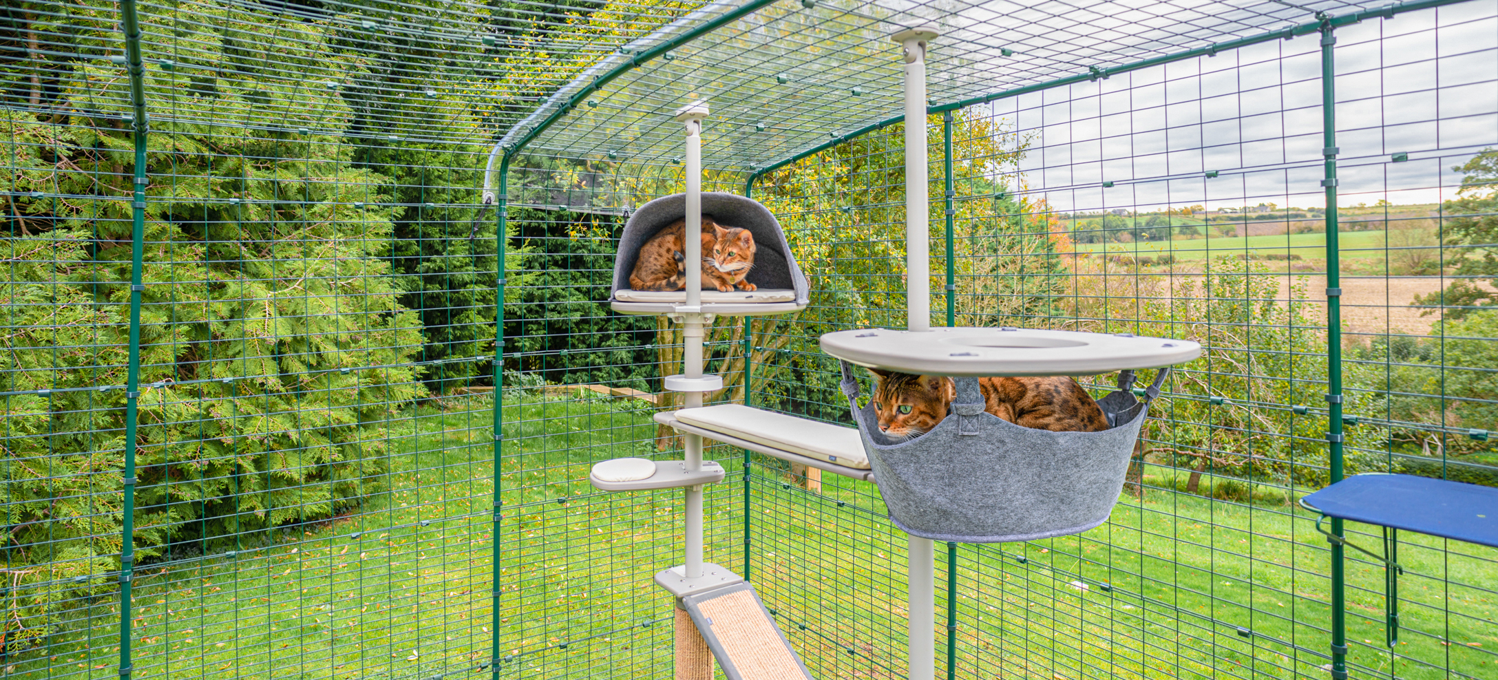 cats relaxing in den and hammock on outdoor cat tree