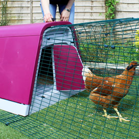Operating the front door of an Eglu Go stylish chicken house.