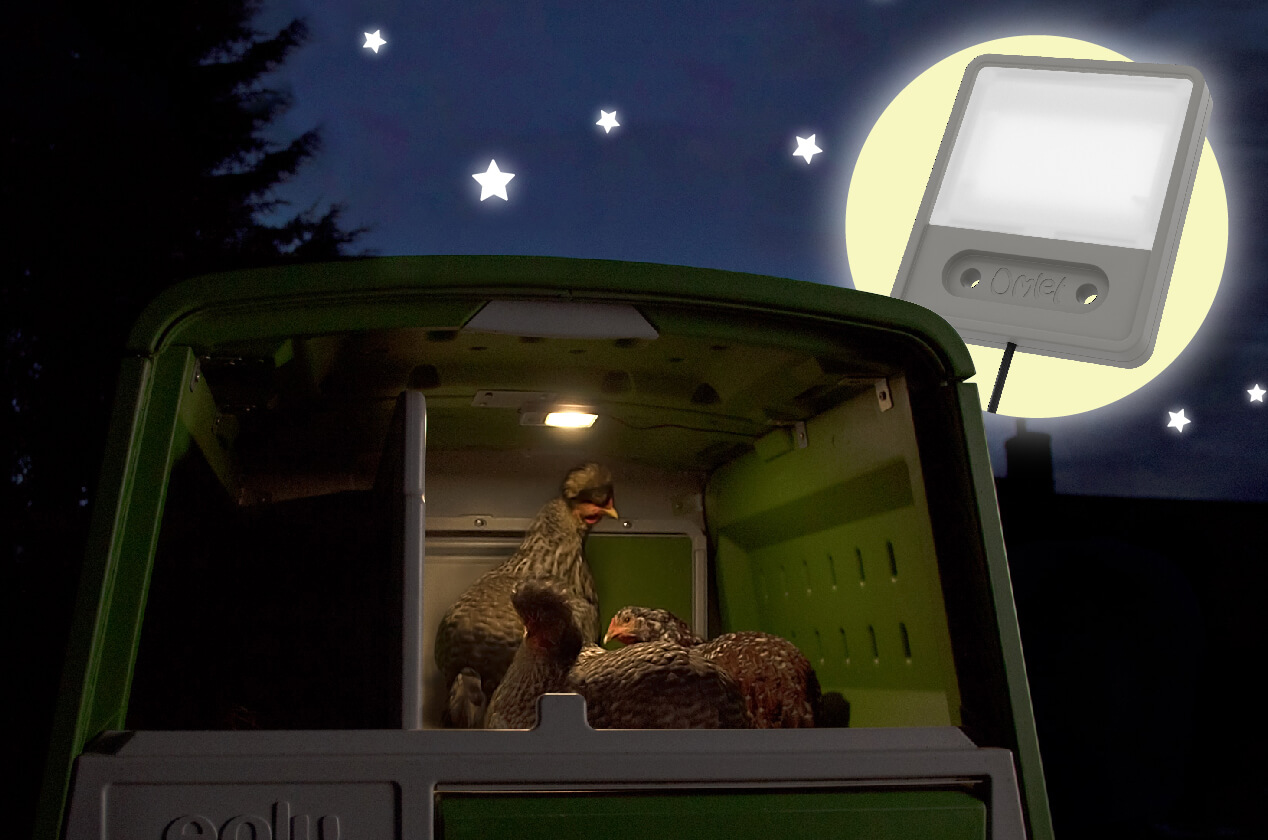 The Coop Light comes on before the Autodoor closes to let your hens know it is time for bed!