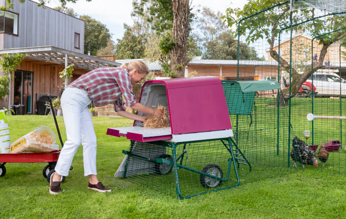 Hens will love being able to roost up high