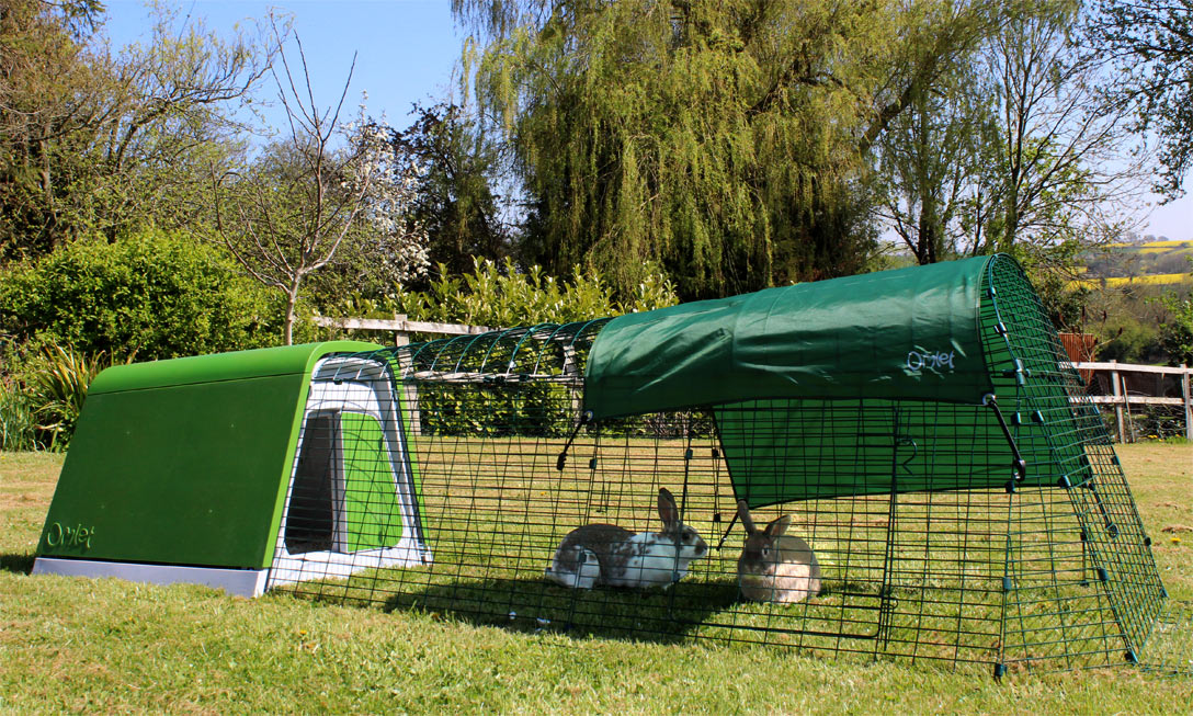 frontline plus for dogs 89 132 lbs