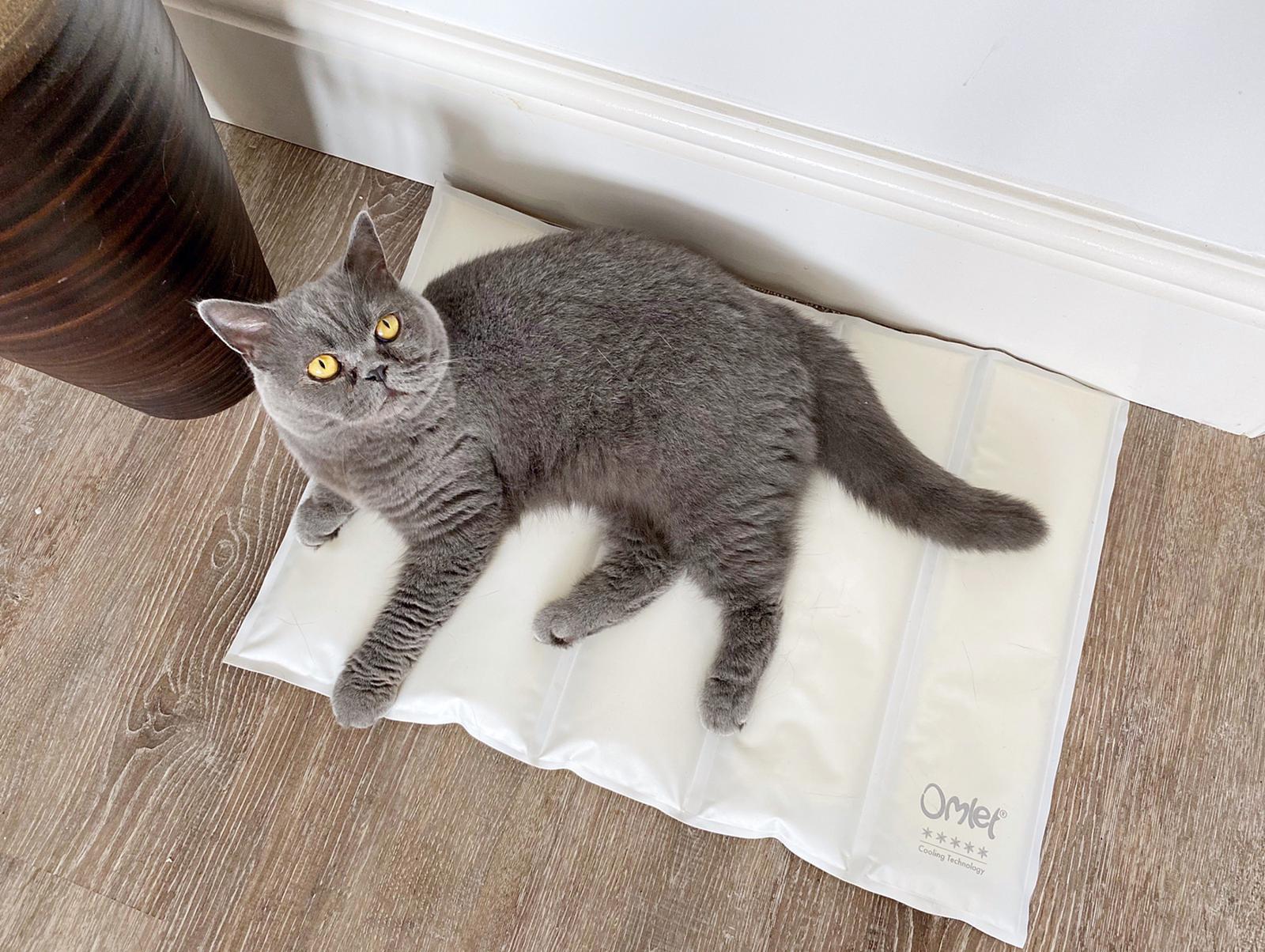 Omlet Cooling Mat for Cats Medium Grey and Cream Omlet