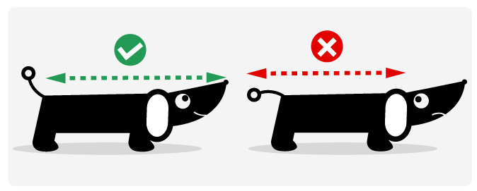 Dog bed size guide for bolster