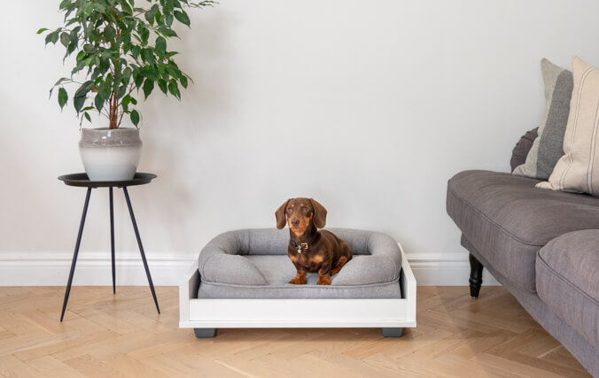 Use With the Fido Furniture Range for the Ultimate Sleep Setup