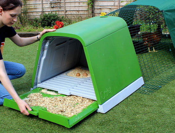 Emptying the plastic dropping tray of an Eglu Go chicken house.