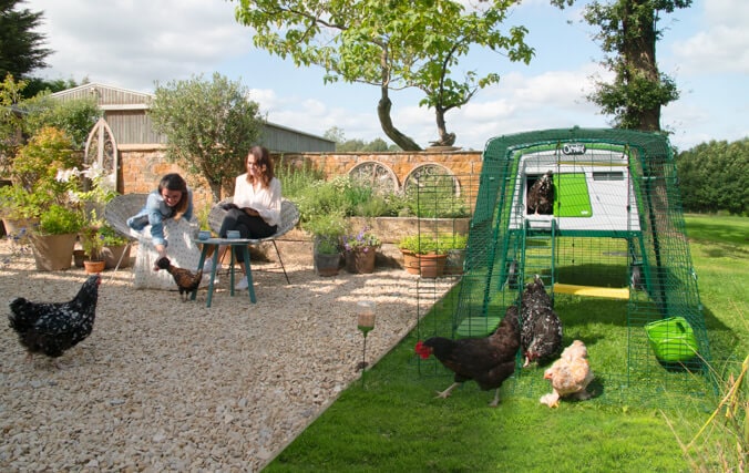 two women having lunch in their garden  and  chickens free ranging around their large chicken coop eglu Cube