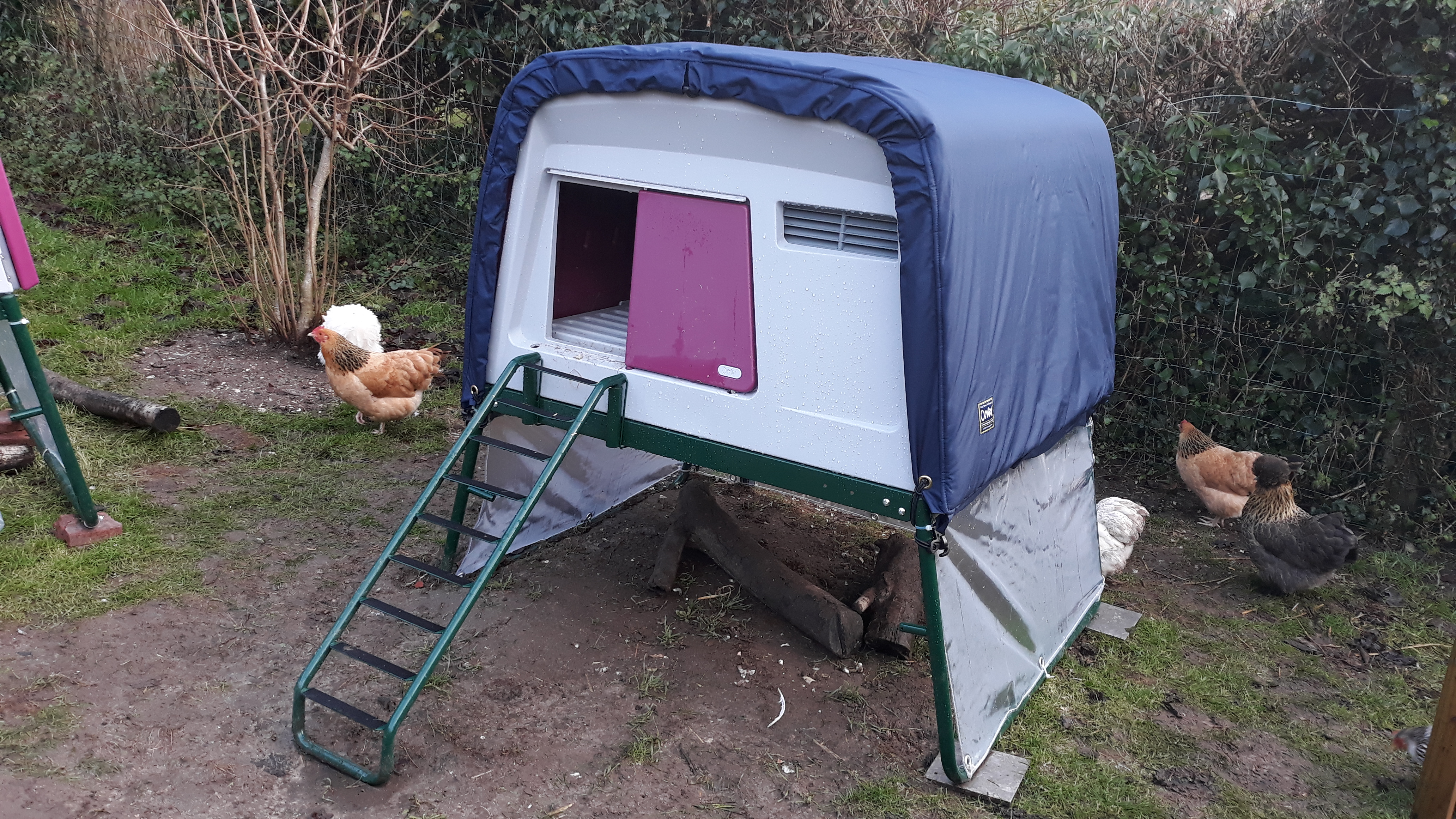 Eglu Cube Chicken Coop Chicken Coops, Walk in Chicken Runs, Chicken